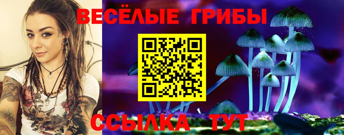 Галлюциногенные грибы Psilocybine cubensis  Вход с VPN  Стрежевой  Галлюциногенные грибы прущие грибы 